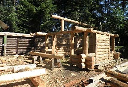 Log Wilderness Cabin